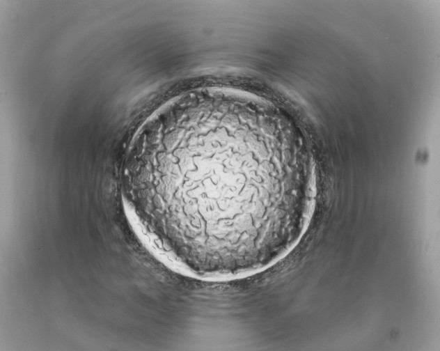 X0000091090966200709041259