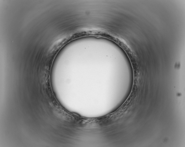 X0000091090967200709041259