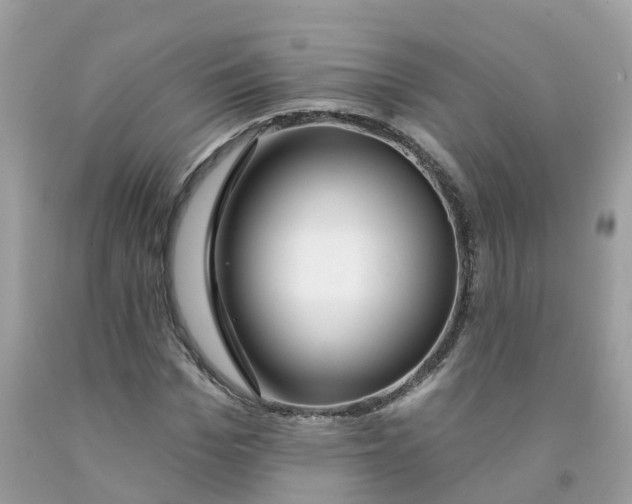 X0000091090969200709041259