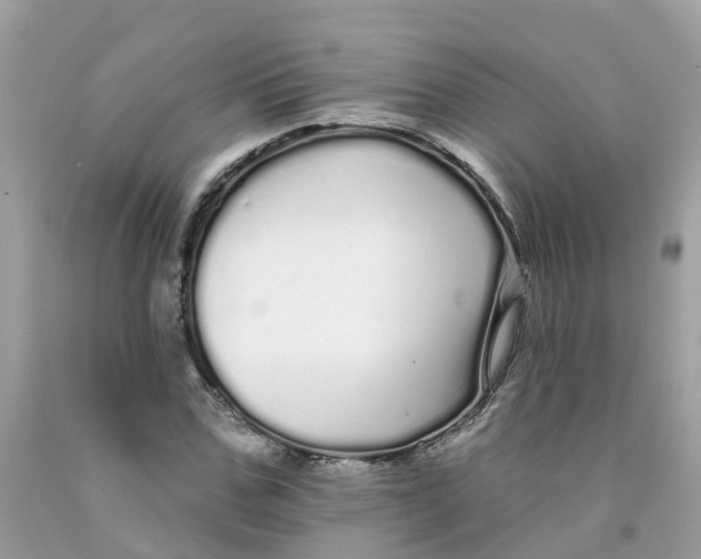 X0000091090971200709041259