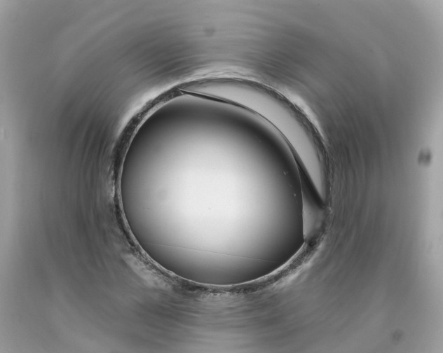 X0000091090973200709041259