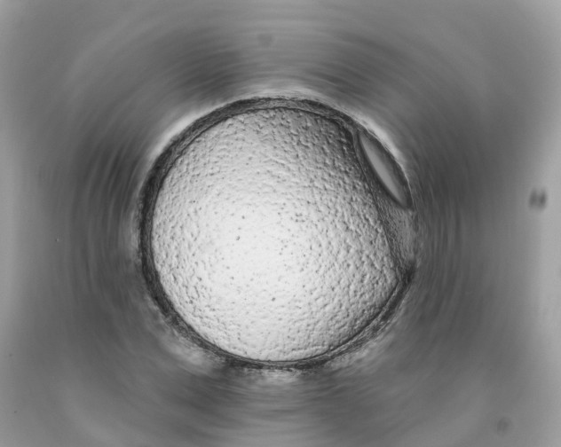 X0000091090975200709041259