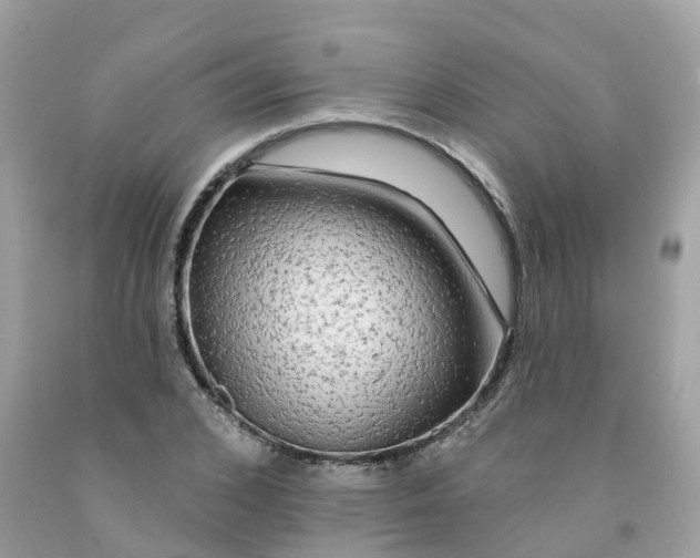 X0000091090976200709041259