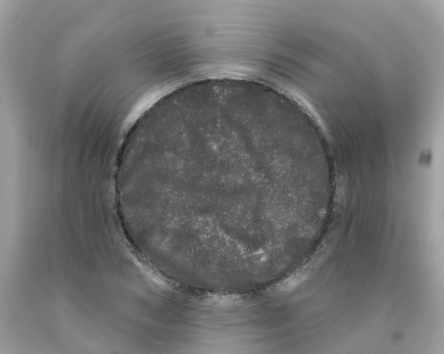 X0000091090978200709041259
