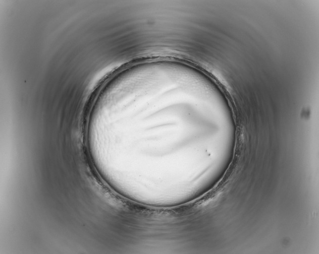 X0000091090979200709041259