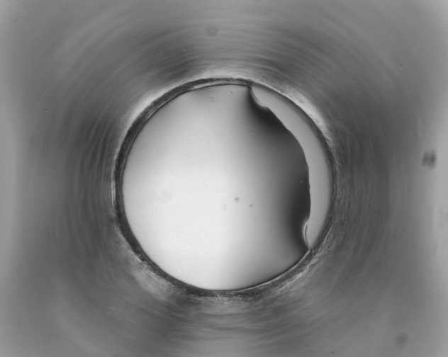 X0000091090980200709041259