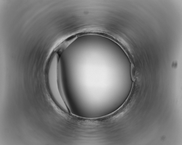 X0000091090981200709041259