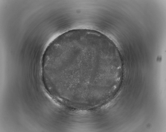 X0000091090982200709041259