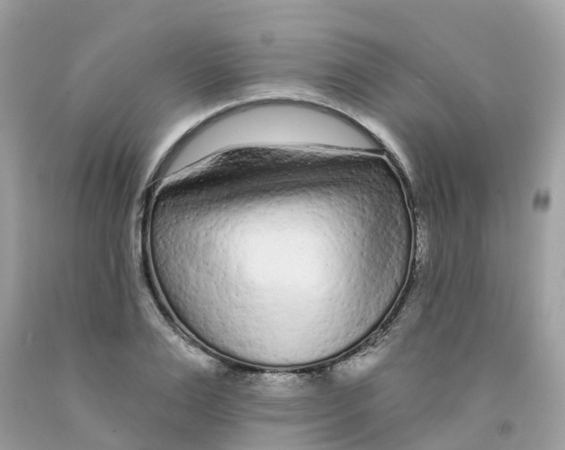 X0000091090983200709041259