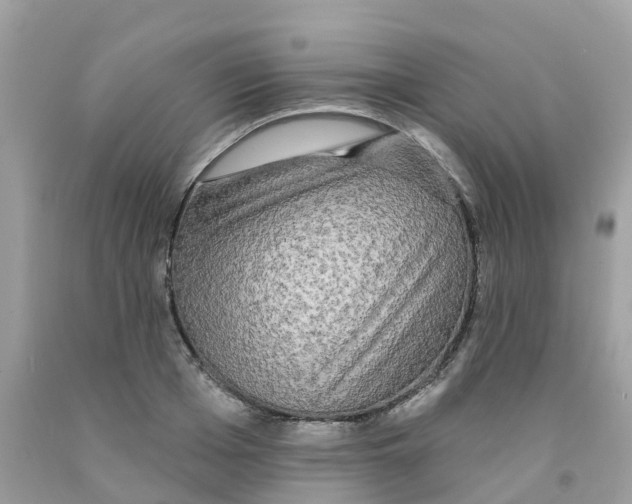 X0000091090985200709041259