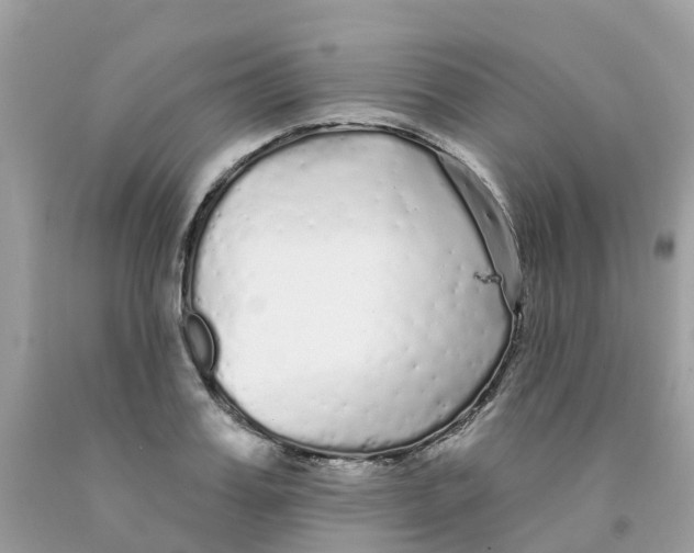 X0000091090987200709041259