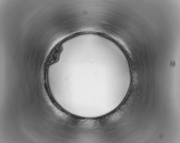 X0000091090991200709041259