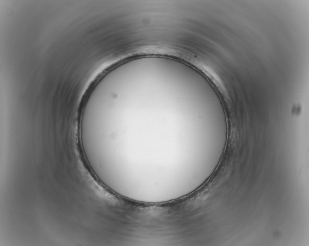 X0000091090992200709041259
