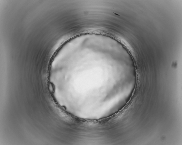 X0000091090994200709041258
