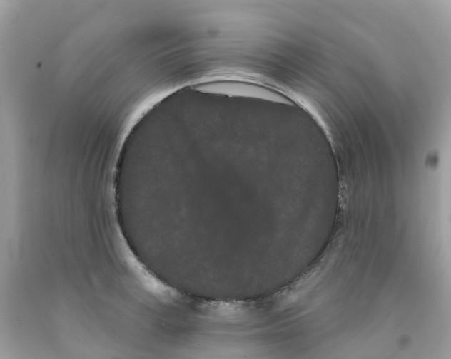 X0000091090995200709041258