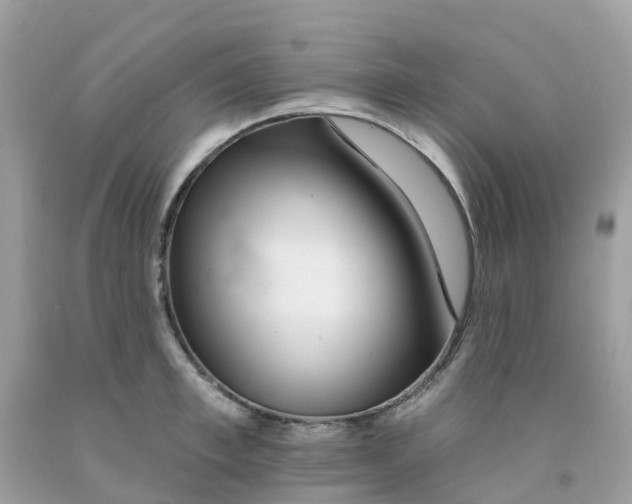 X0000091090997200709041258