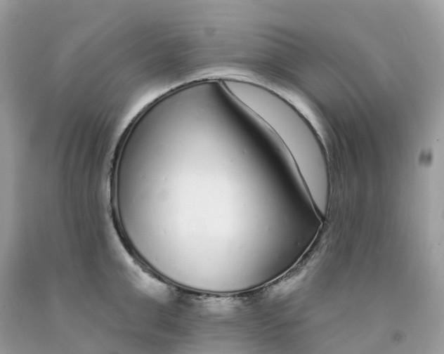X0000091090999200709041258