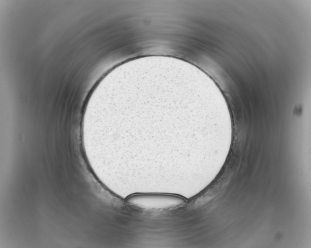 X0000091091000200709041258