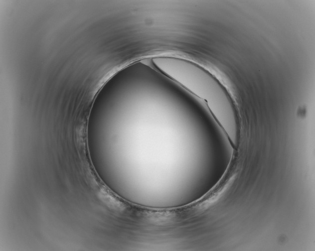 X0000091091001200709041258