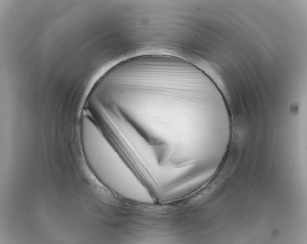 X0000091091004200709041258