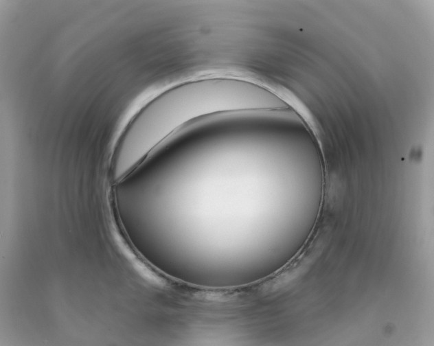 X0000091091005200709041258
