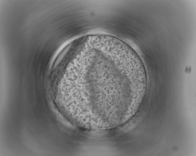 X0000091091008200709041258