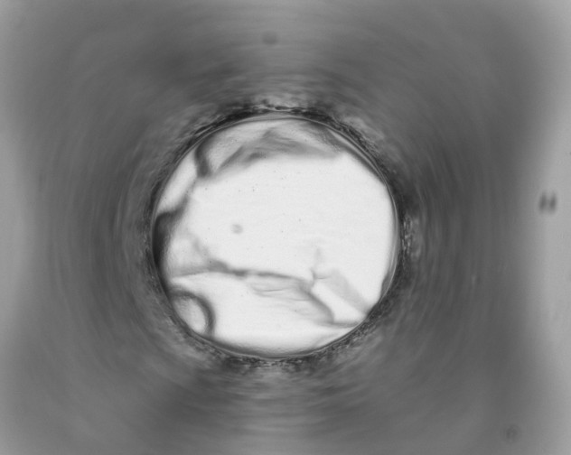 X0000091091009200709041258