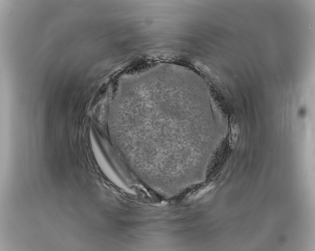 X0000091091010200709041258