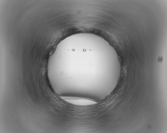 X0000091091012200709041258