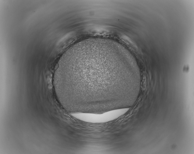 X0000091091013200709041258