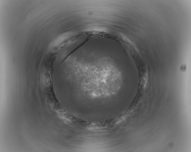 X0000091091014200709041258