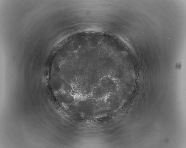 X0000091091015200709041258