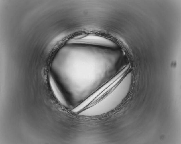 X0000091091016200709041258