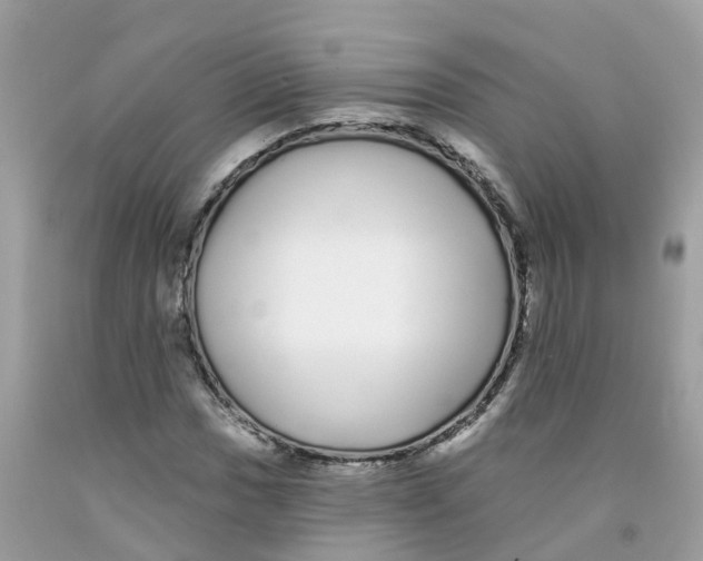 X0000091091017200709041258