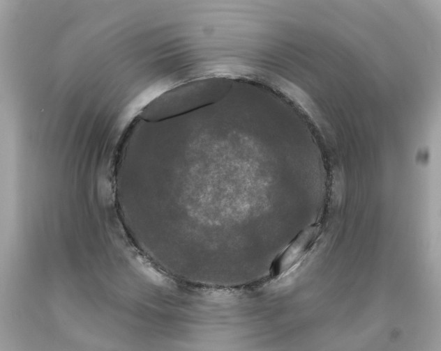 X0000091091018200709041258