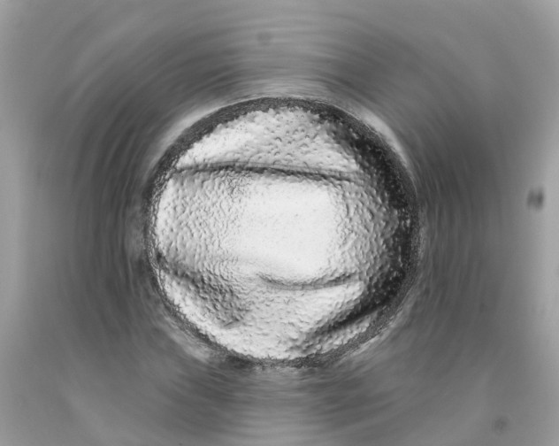 X0000091091019200709041258