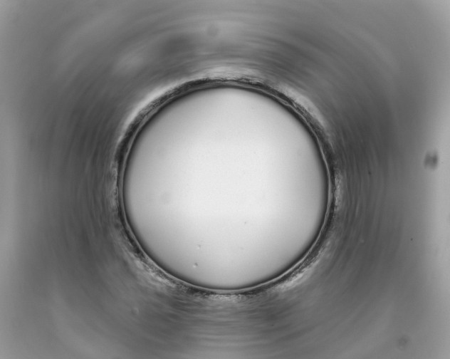 X0000091091021200709041258