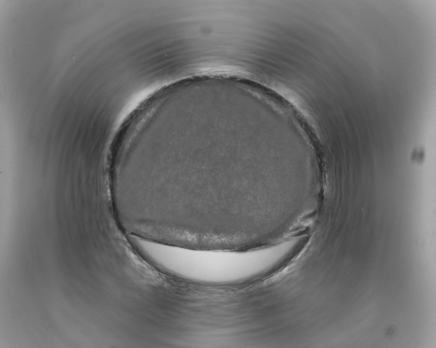 X0000091091022200709041258