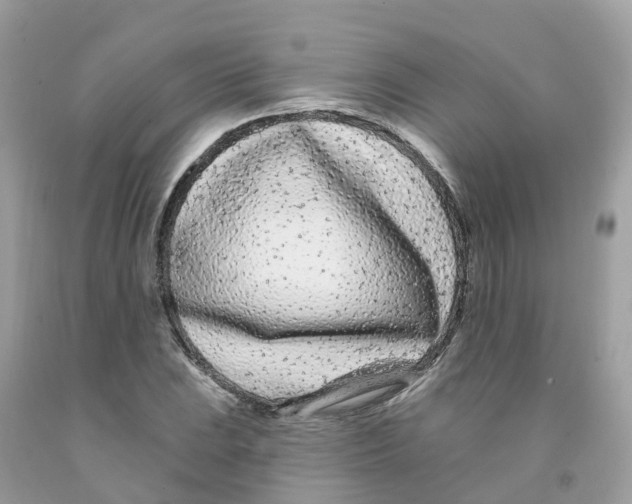 X0000091091023200709041258