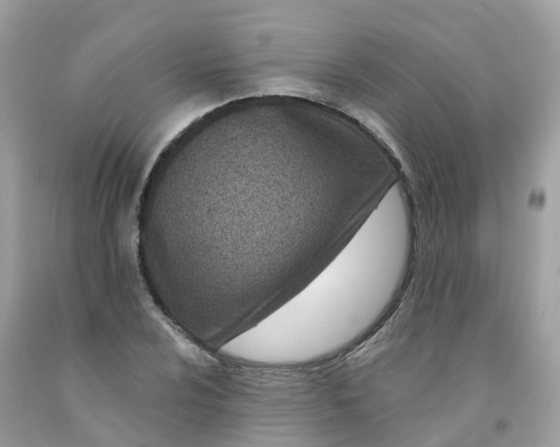 X0000091091024200709041258