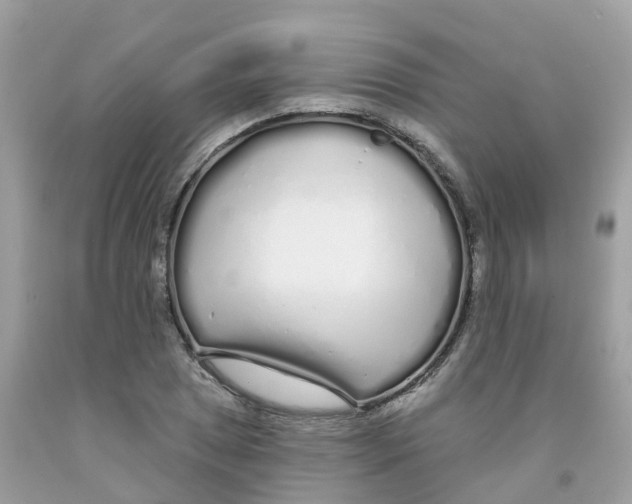 X0000091091025200709041258