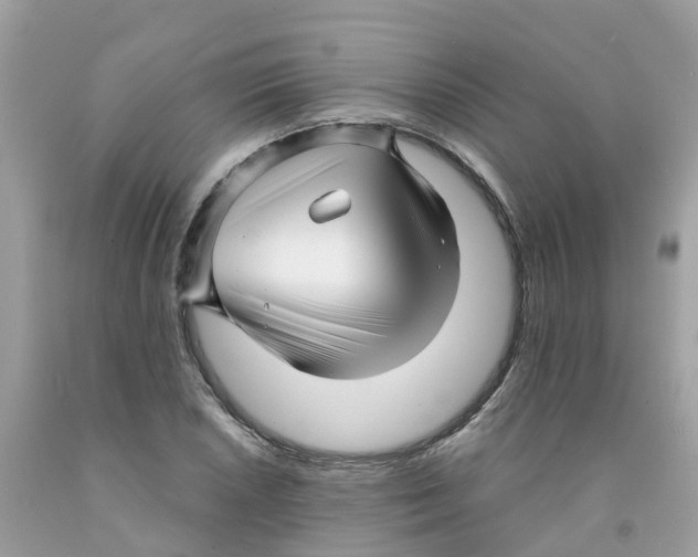 X0000091091026200709041258