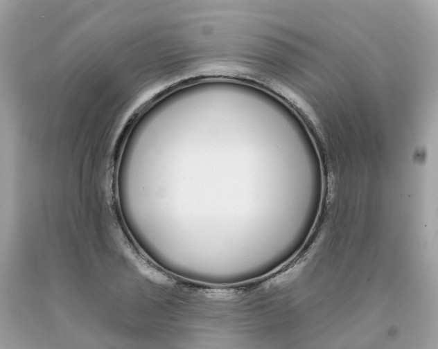 X0000091091029200709041258