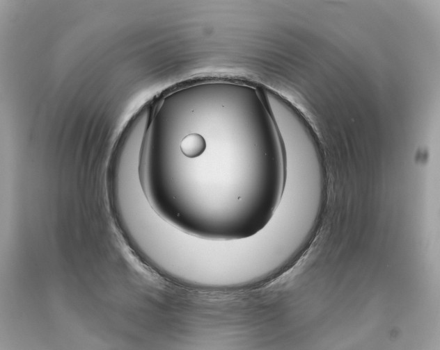 X0000091091030200709041258