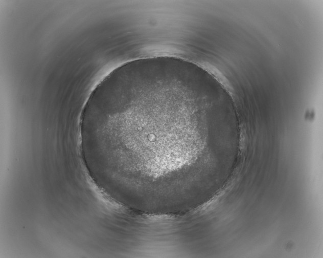X0000091091031200709041258