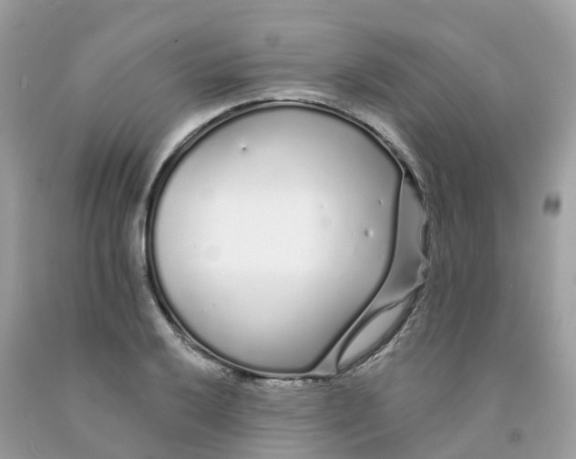 X0000091091032200709041258