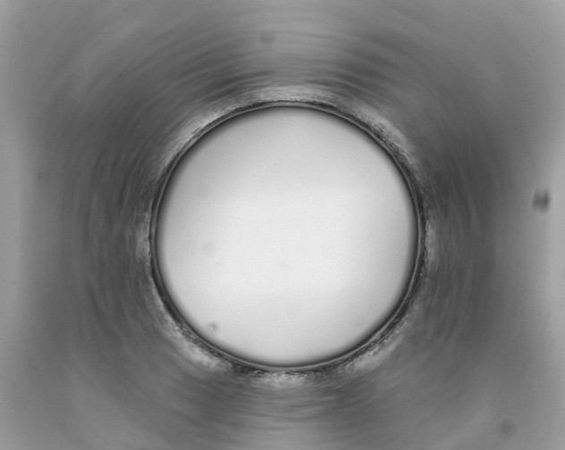X0000091091033200709041258