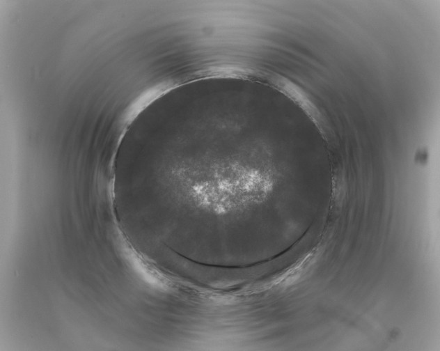 X0000091091034200709041258