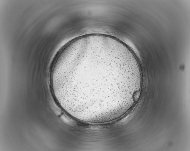 X0000091091035200709041258