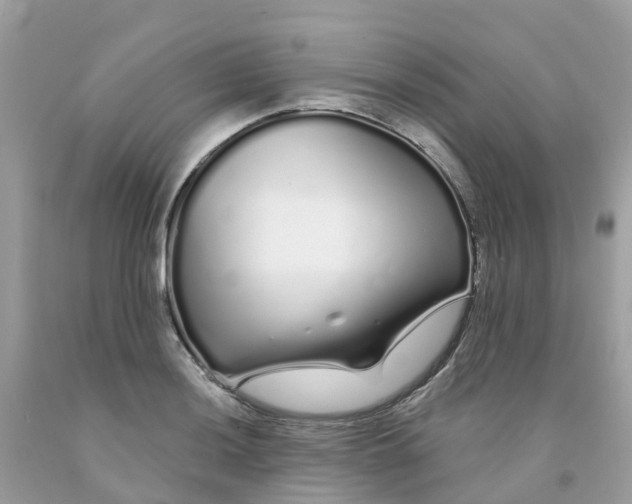 X0000091091036200709041258